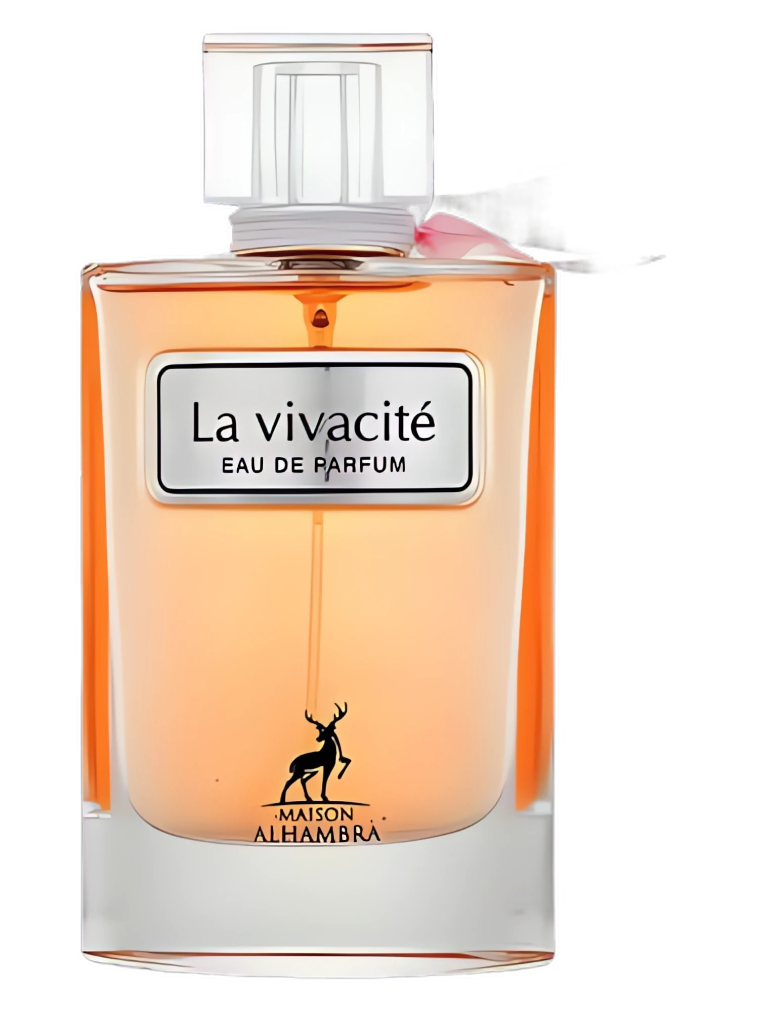 La Vivacite