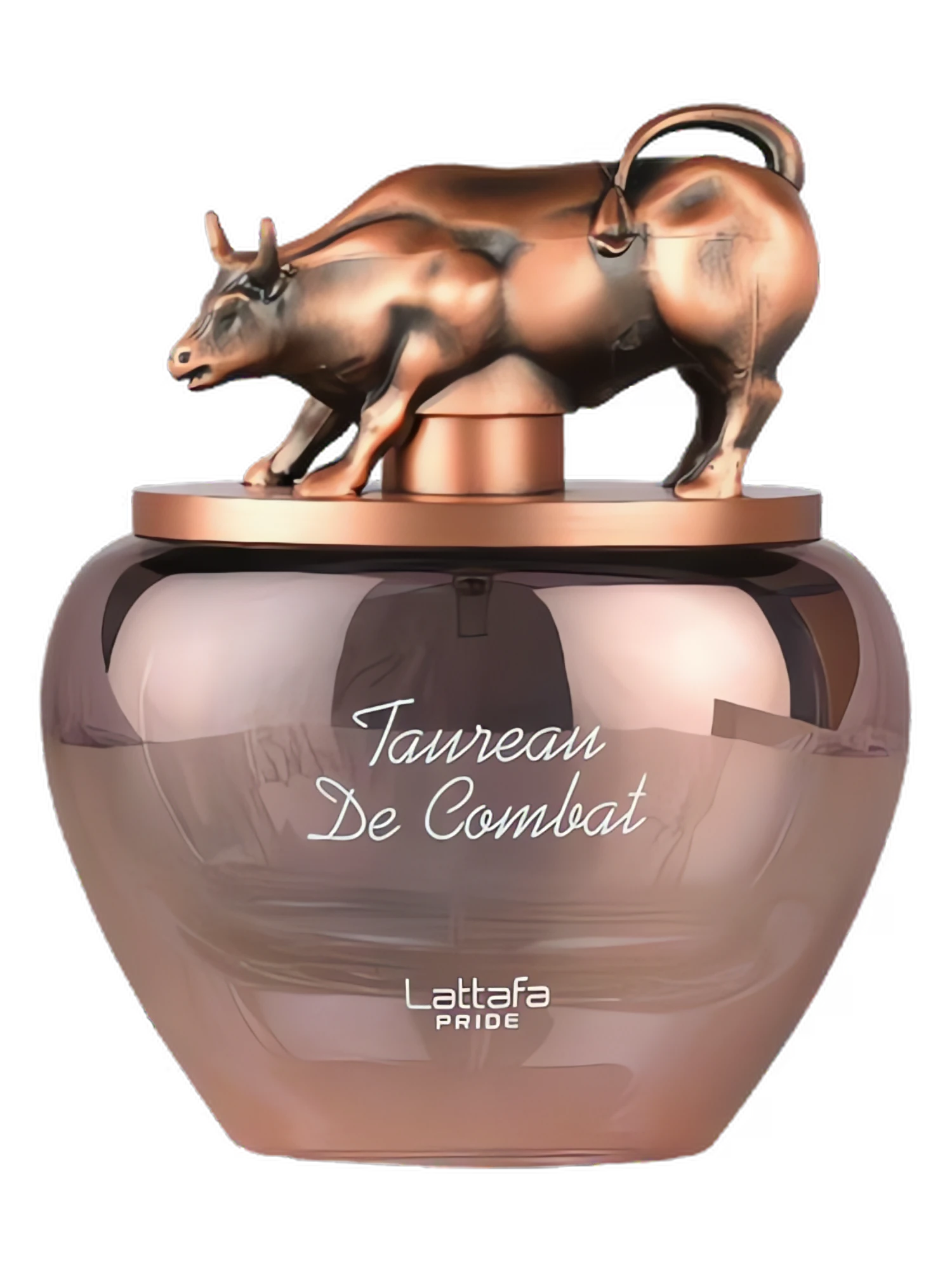 Taureau de Combat