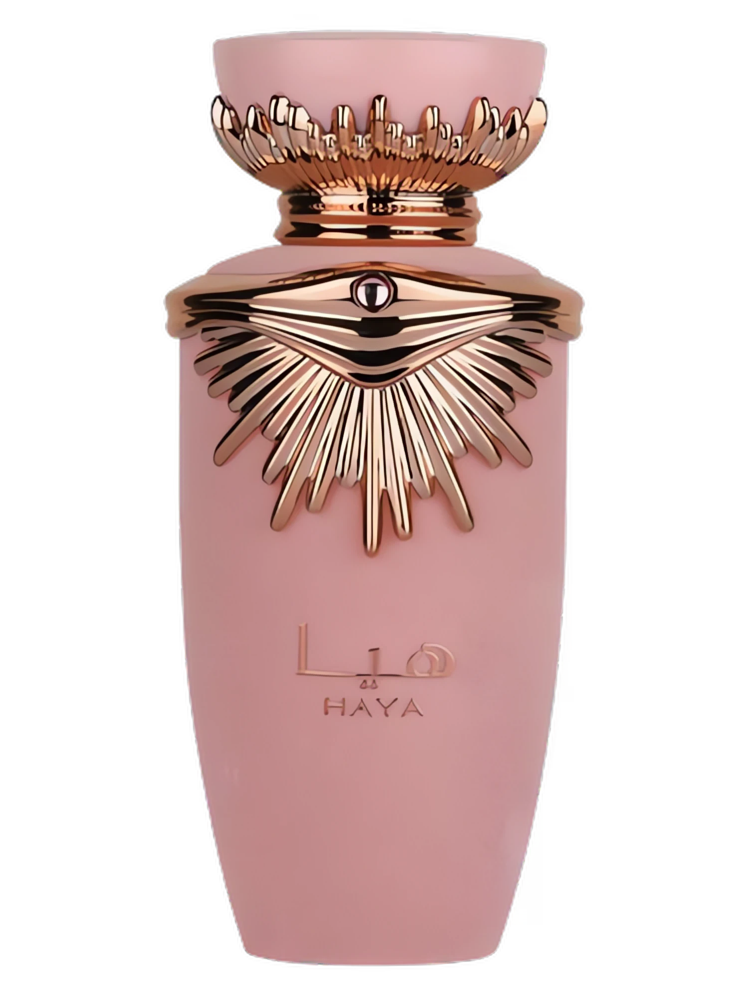 Haya