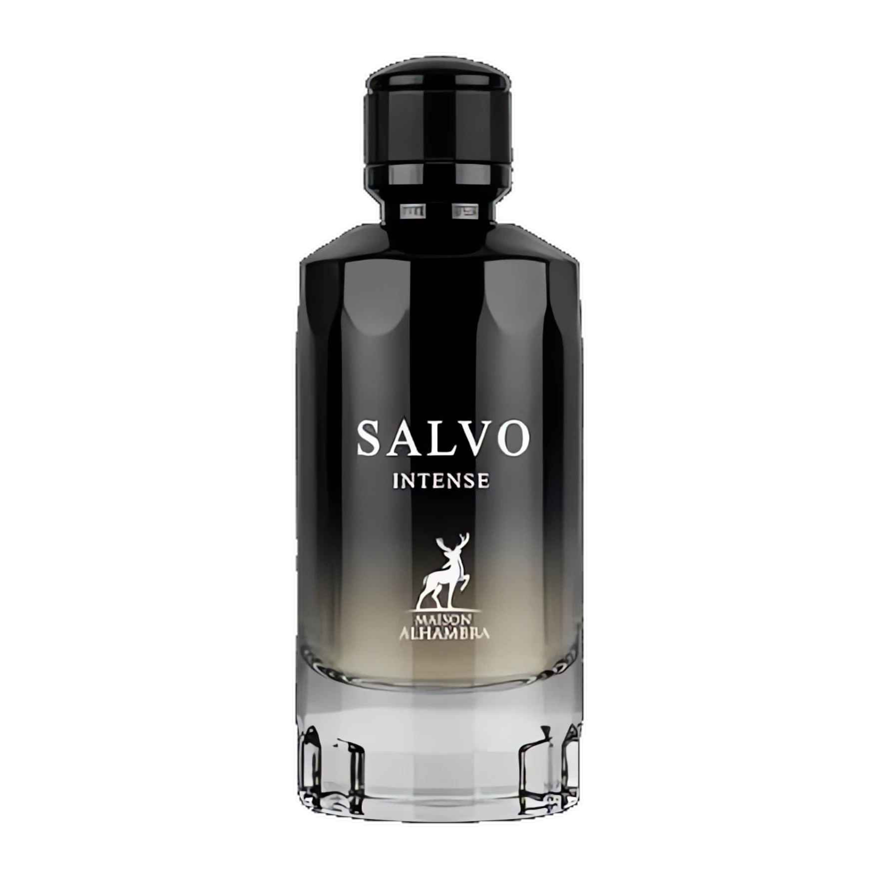Salvo Intense